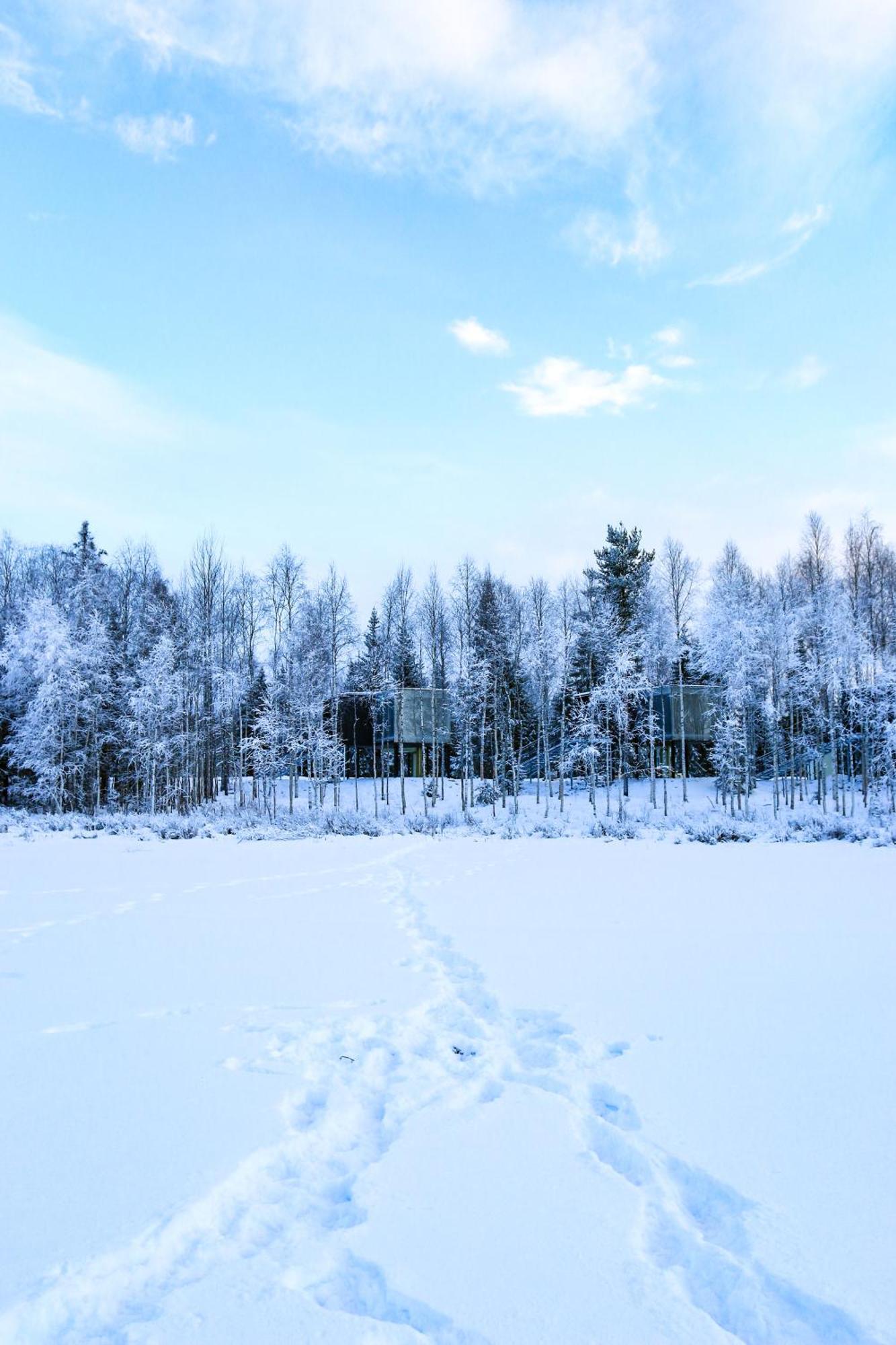Silver Birch Resort Lapland Rovaniemi Extérieur photo