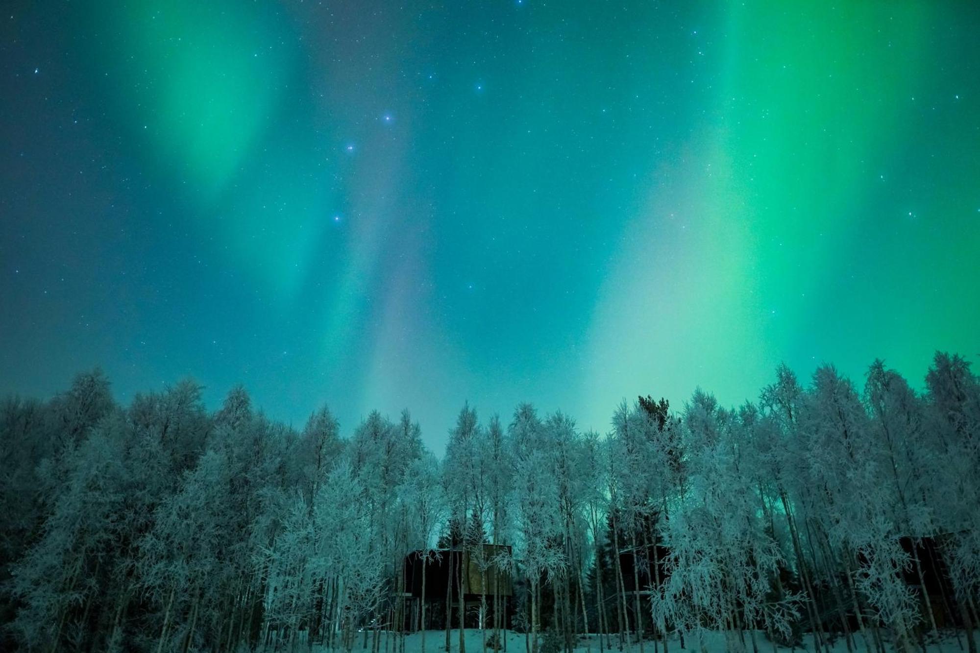 Silver Birch Resort Lapland Rovaniemi Extérieur photo